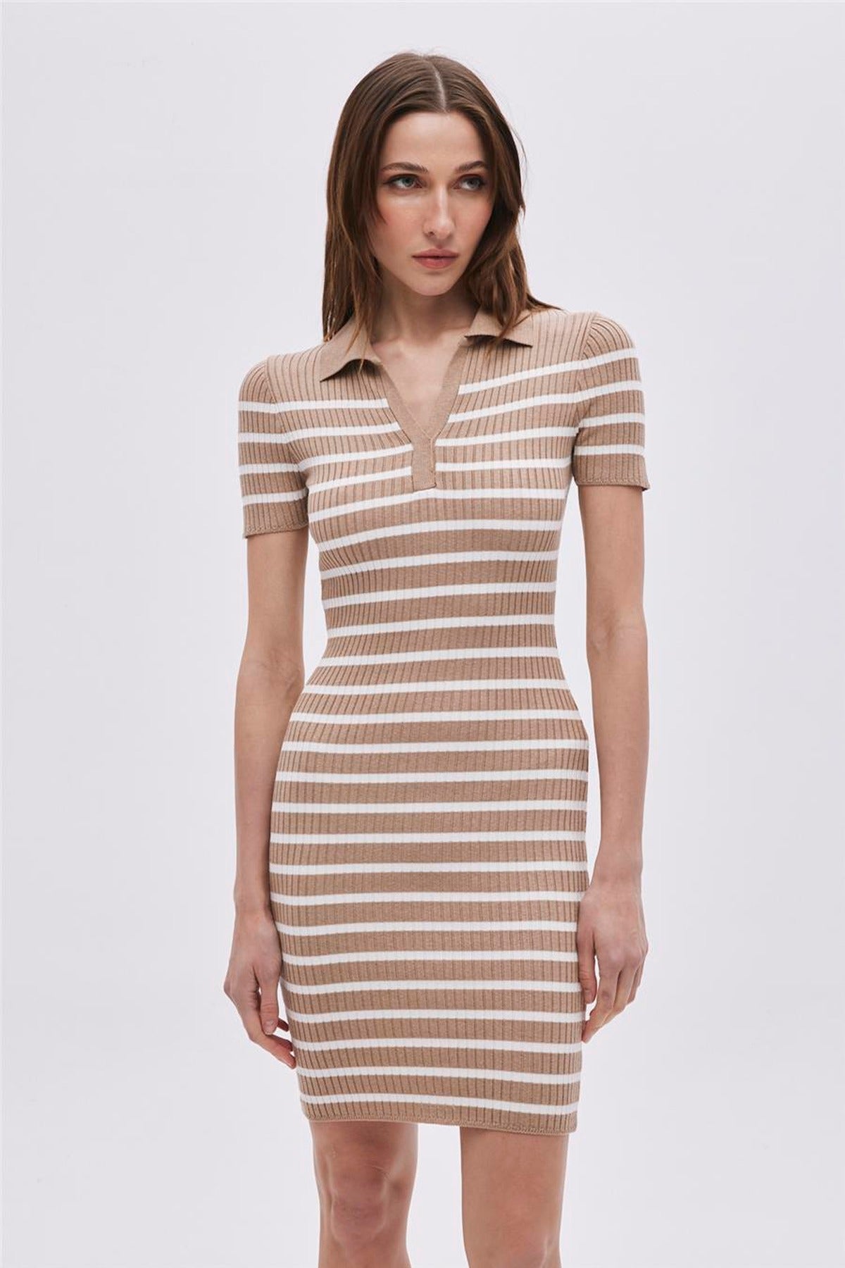 Striped Polo Collar Knit Dress
